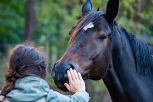 お見合いで45歳の方が知っておくべき成婚率とは？