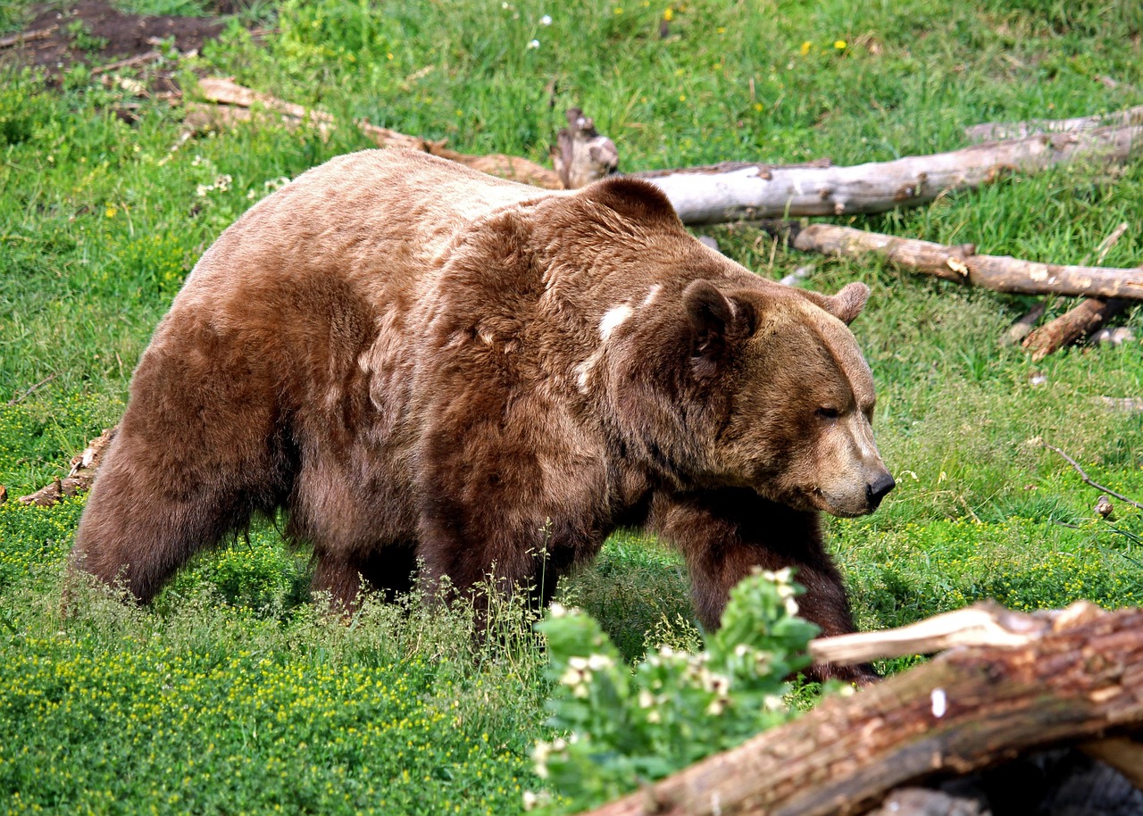 40歳からの出会いの方法にはどんなものがある？