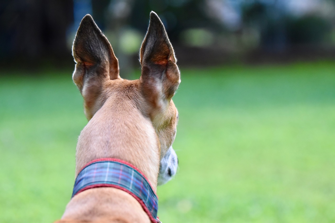 婚活パーティーで45歳が成功するためのコツは？